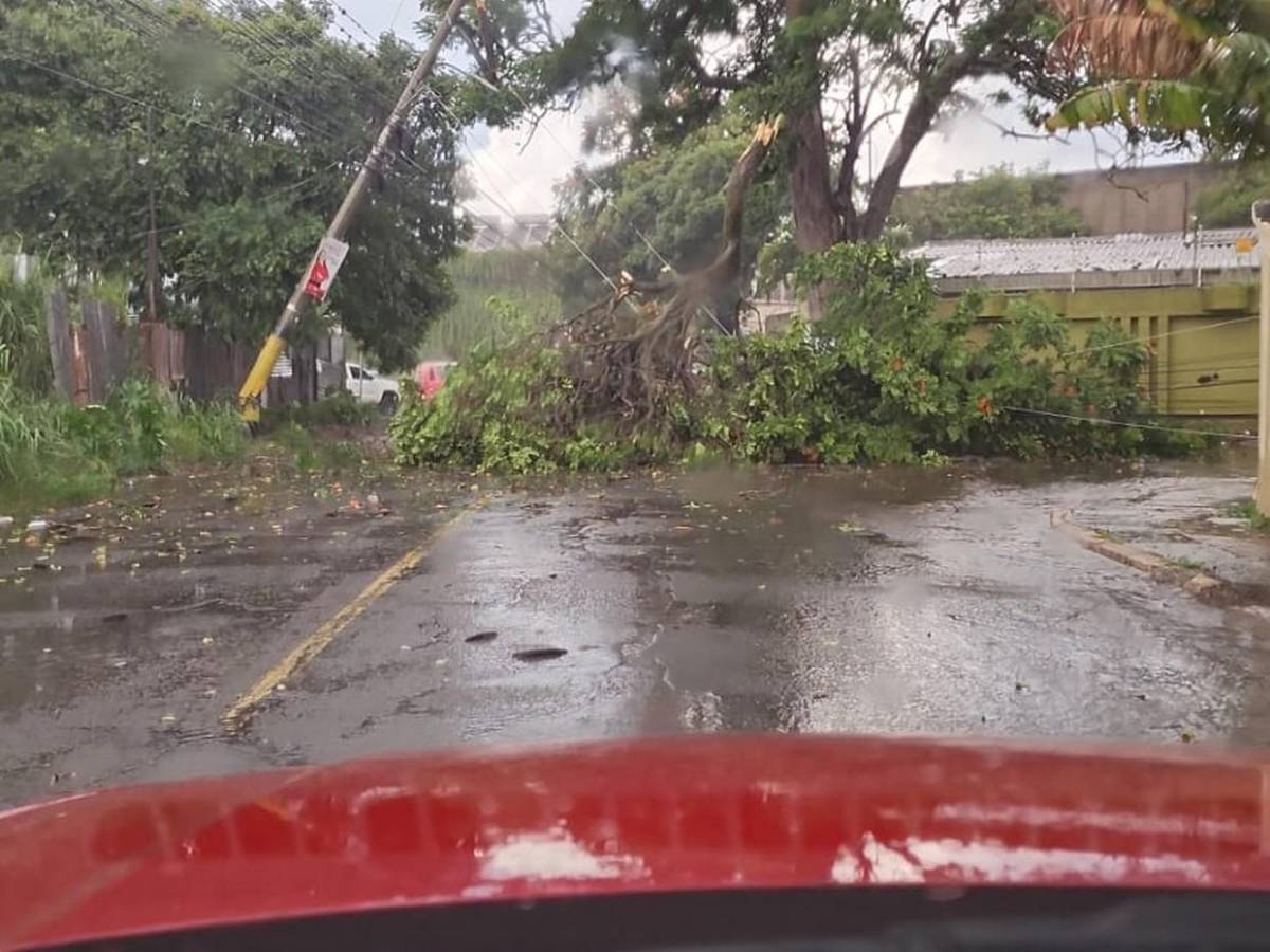 Primeras imágenes de los destrozos que dejó hora y media de lluvia en Tegucigalpa