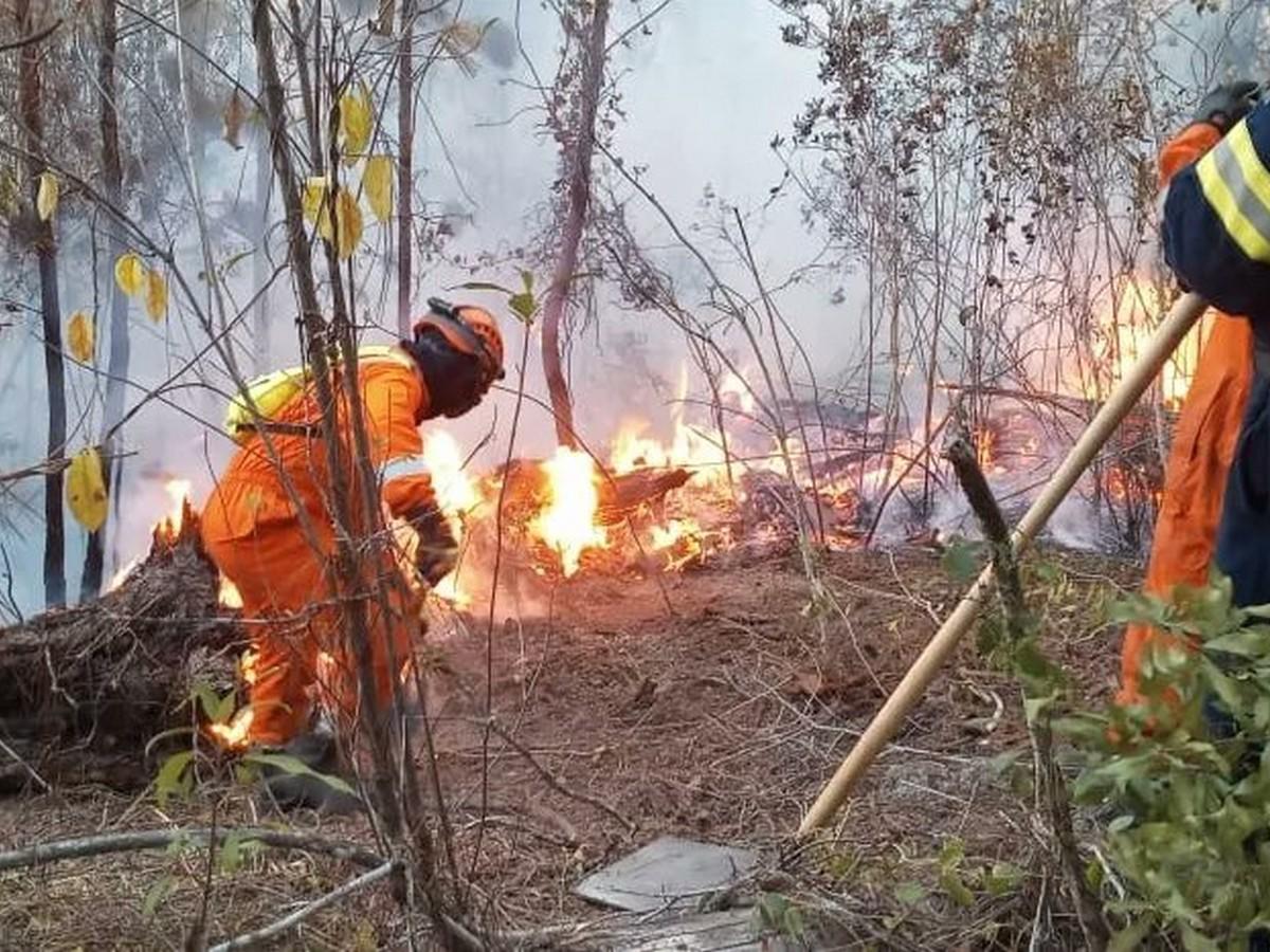 Se reactiva incendio en cerro El Trigo, colindante con La Tigra