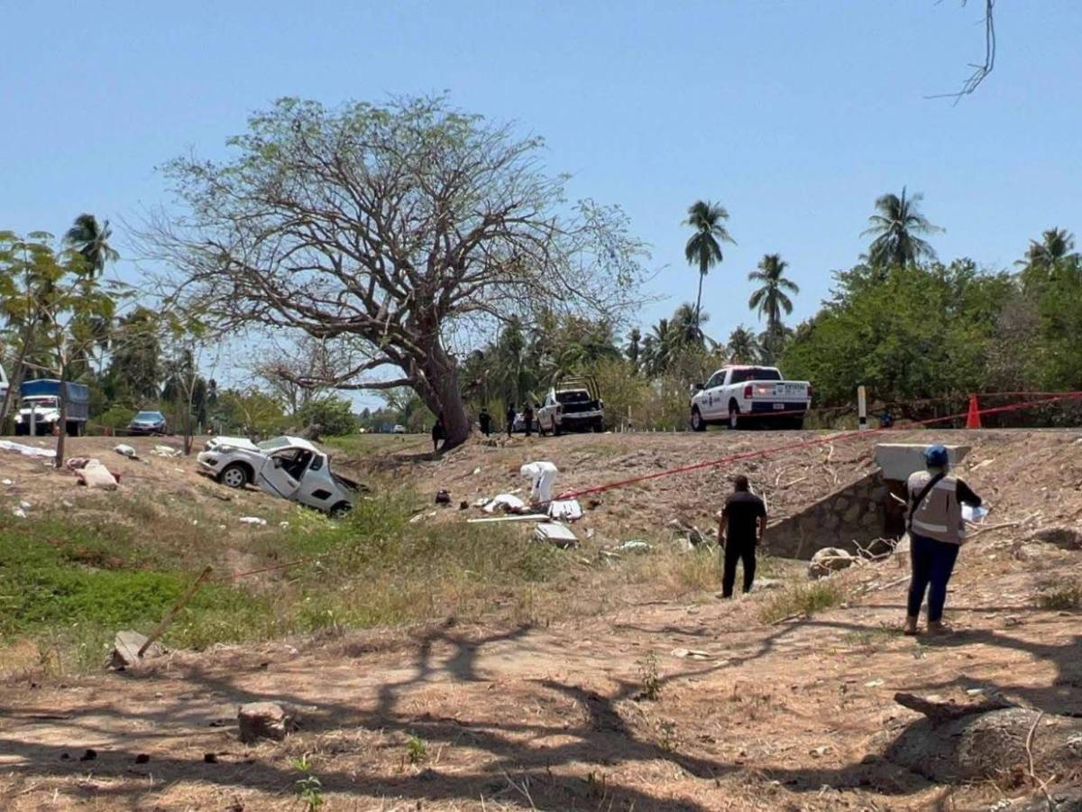 Trágico viaje a la playa en México: familia pierde la vida en accidente; hasta mascota murió