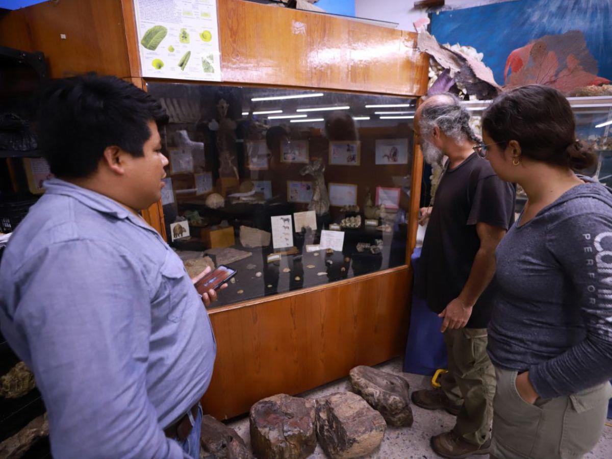 Una aventura por el mundo de los fósiles que permite comprender la naturaleza