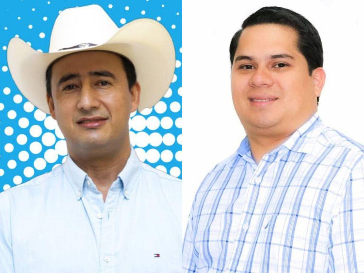 Los 29 diputados del Partido Nacional que buscan la reelección en 2025