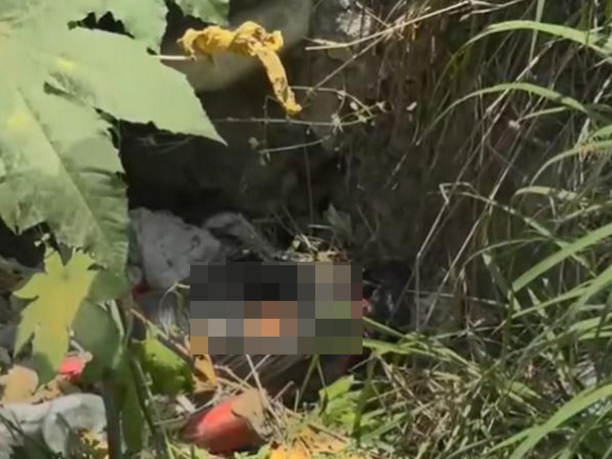Embolsado hallan cadáver en una cuneta en colonia Los Pinos