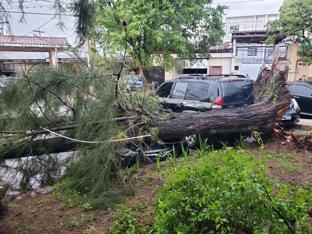 Primeras imágenes de los destrozos que dejó hora y media de lluvia en Tegucigalpa