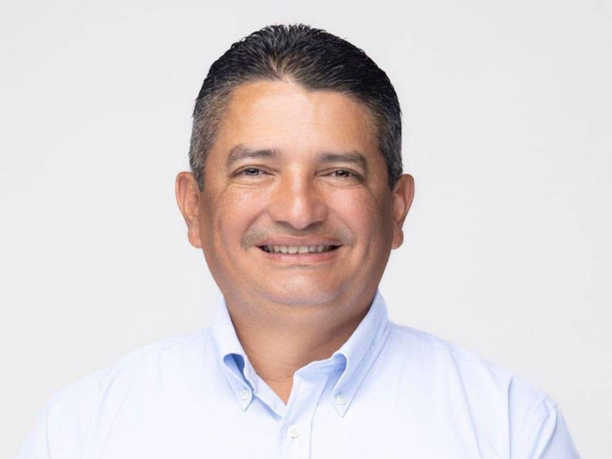 Diputados con más de una década en el Congreso Nacional que buscan reelegirse