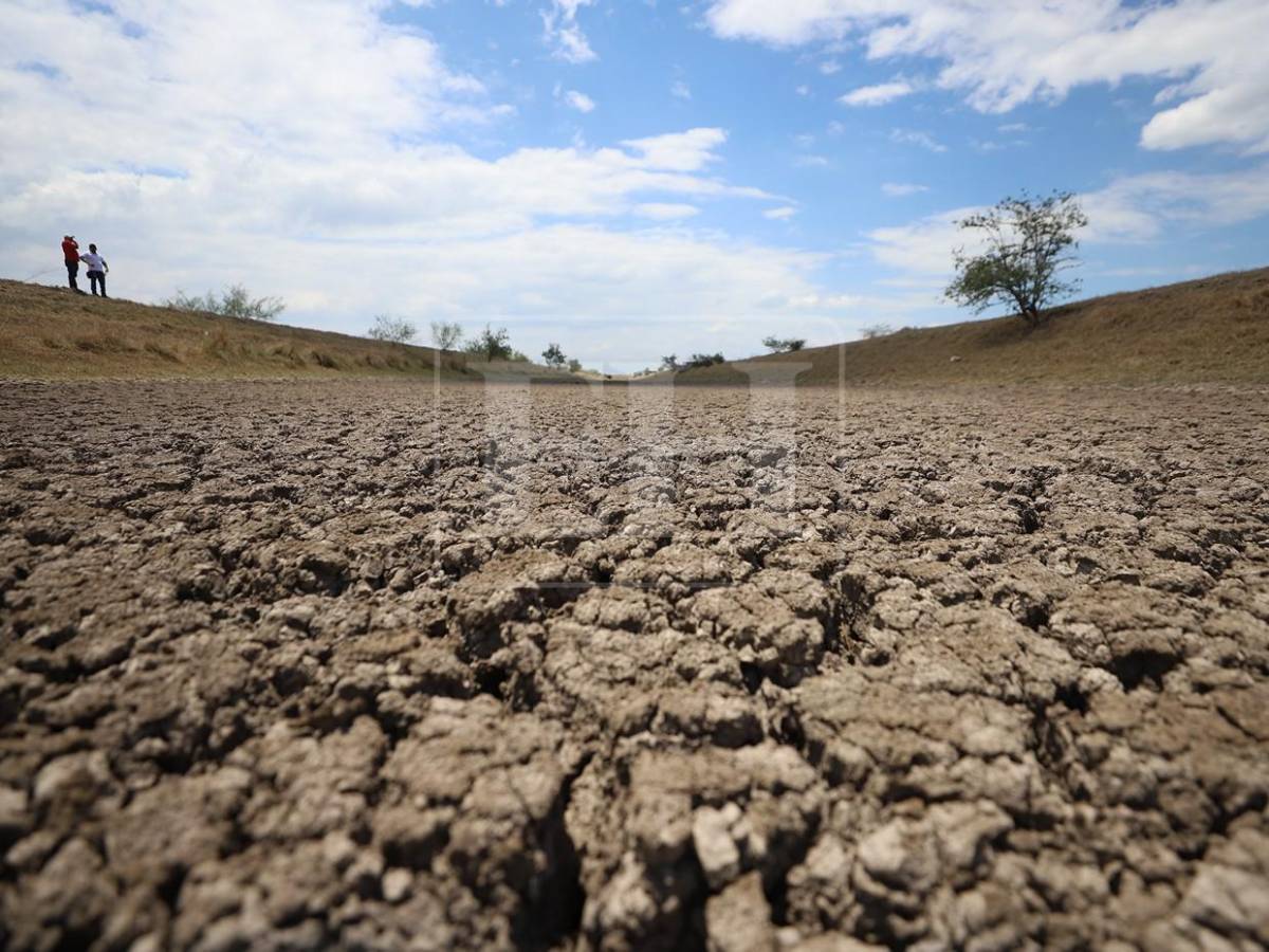 Sin trabajo, sin futuro: crisis en camaroneras golpea a familias en el sur de Honduras