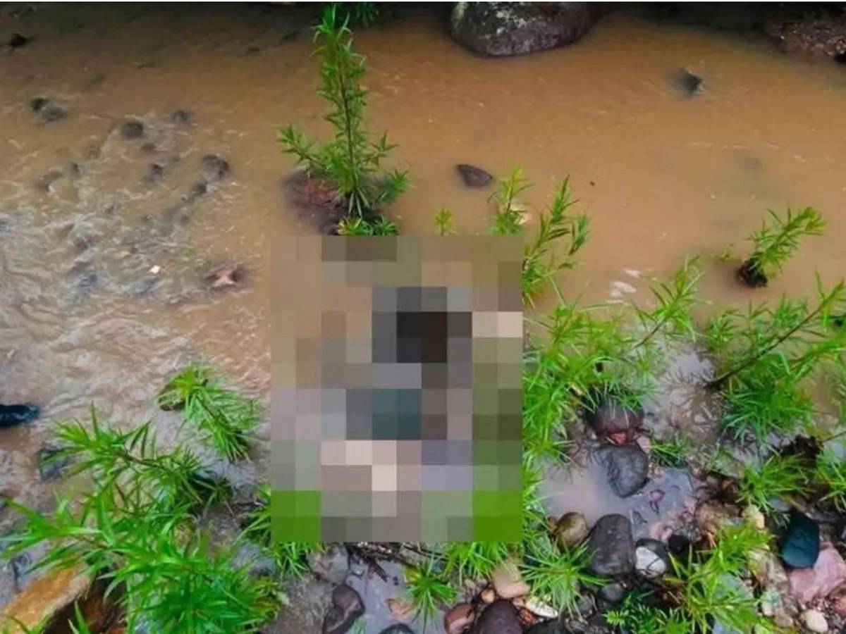Hoy hallaron una pierna: sigue búsqueda de desmembrado en montaña de Azacualpa