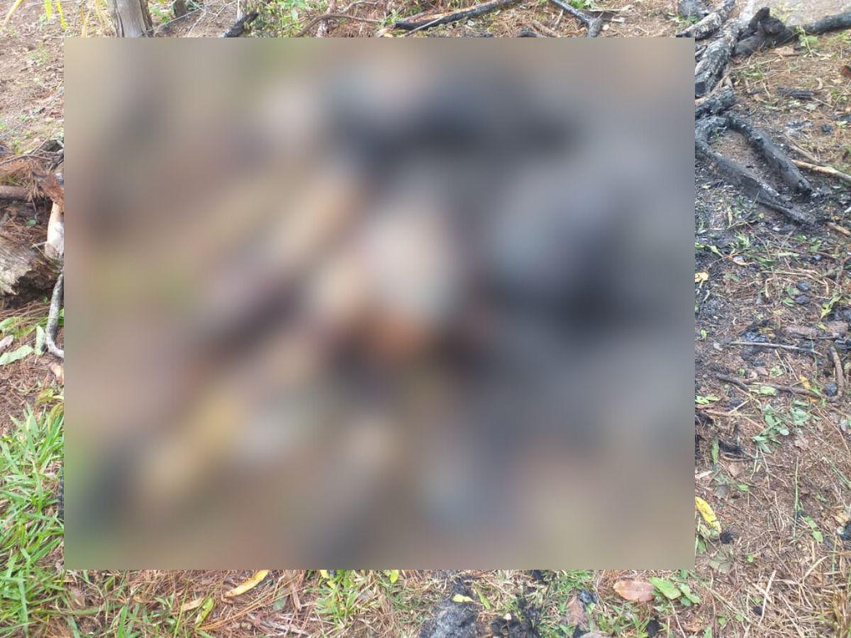 Asesinados y calcinado en grupo fueron encontrados padre y sus tres hijos en el municipio de Yamaranguila, Intibucá.