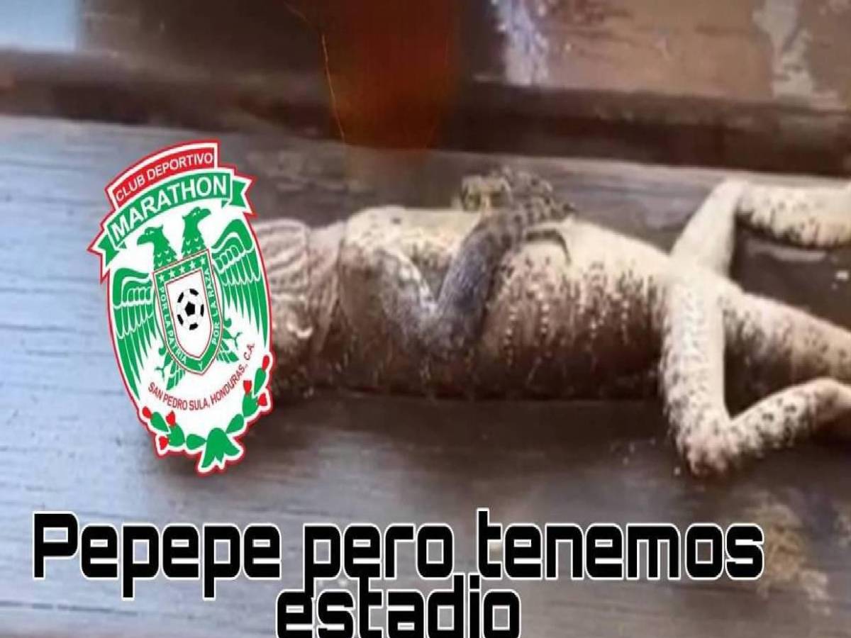 Memes destrozan a Marathón tras eliminación de Copa Centroamericana por Alajuelense