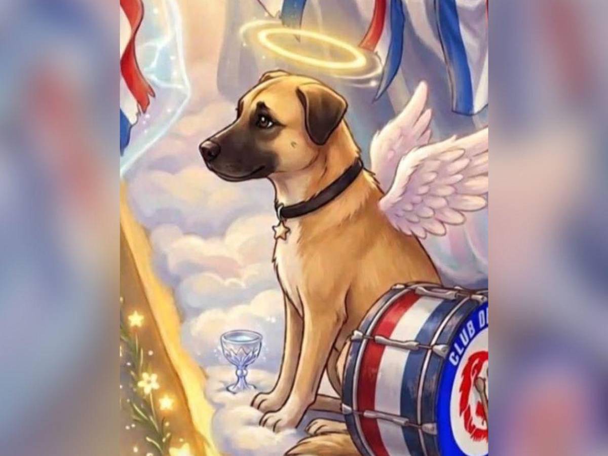 Muere “Kalimán”, el perro que se convirtió en símbolo de fidelidad entre aficionados del Olimpia