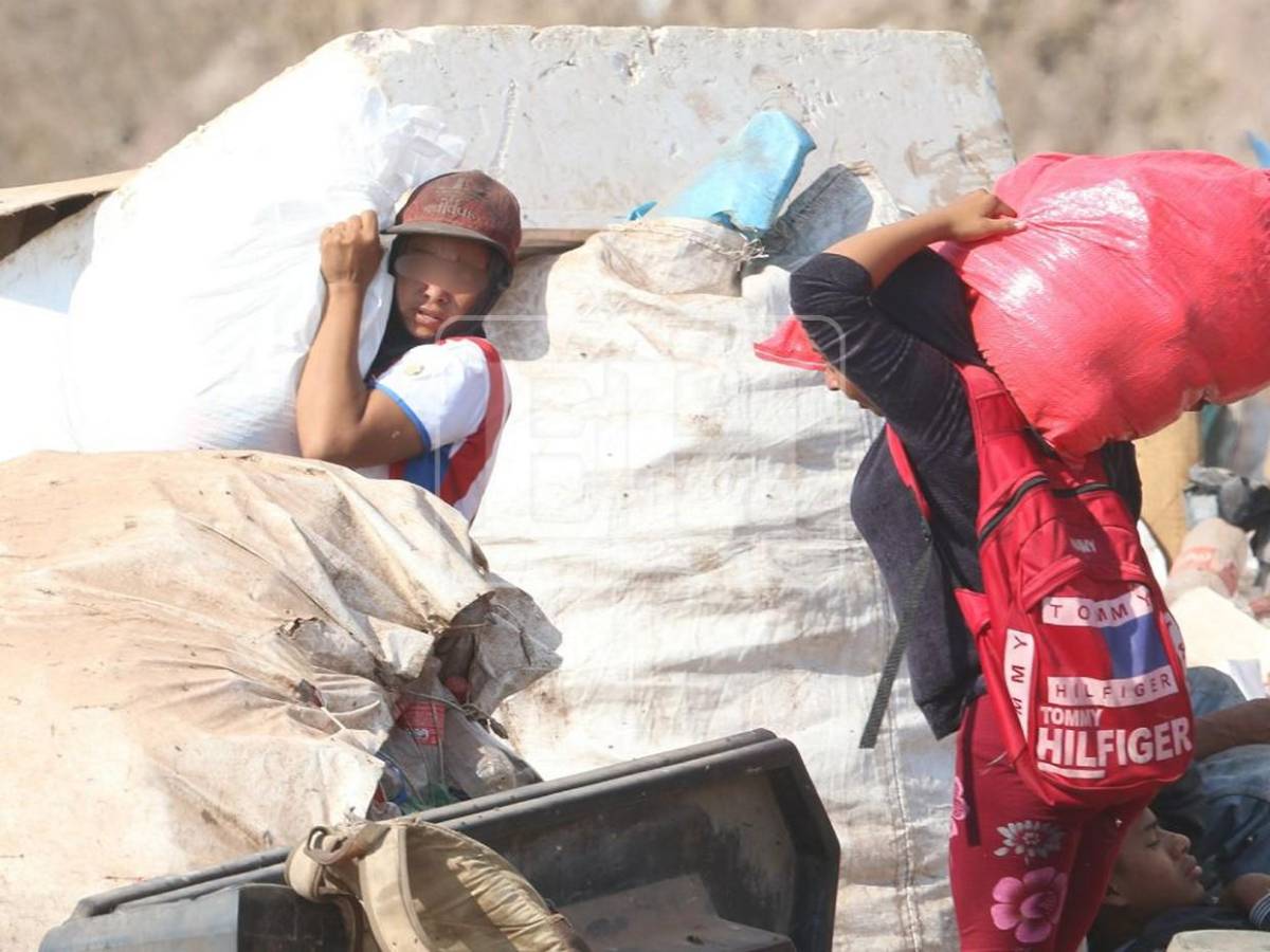 4 de cada 10 menores que trabajan tienen entre 5 y 9 años: las crudas cifras del trabajo infantil en Honduras