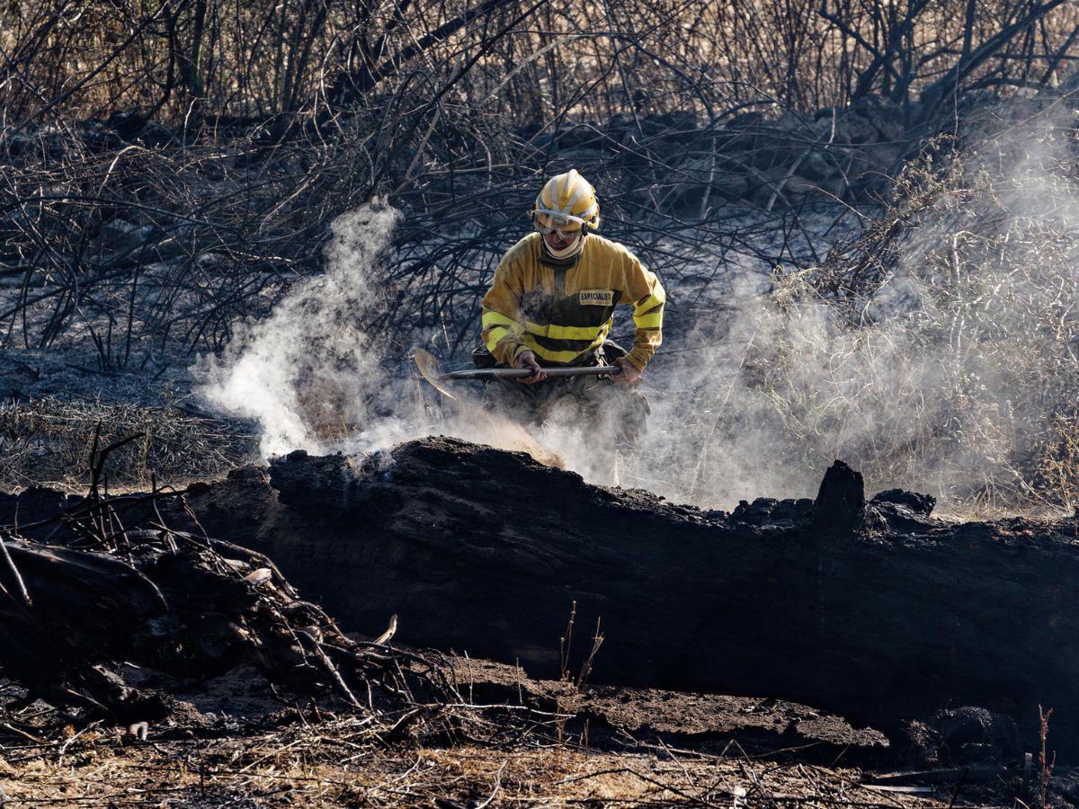 Incendios en España: miles evacuados y cientos de hectáreas quemadas