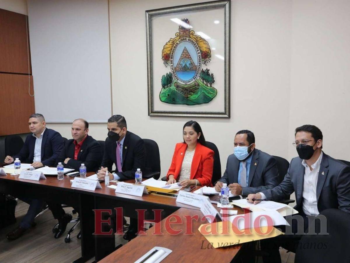 Comisión culminó proceso de elección, pero candidatos ya tenían venia de Libre