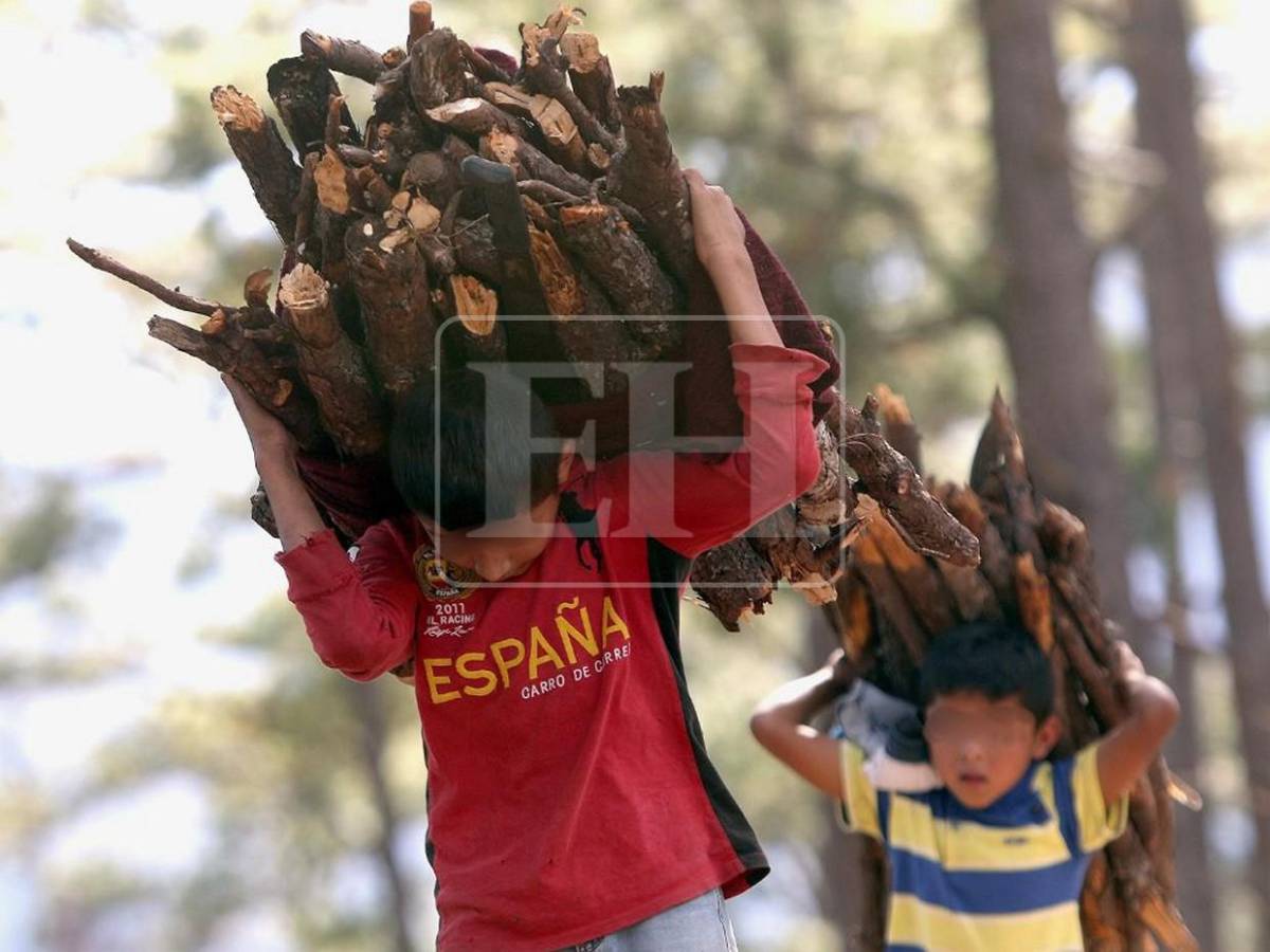 4 de cada 10 menores que trabajan tienen entre 5 y 9 años: las crudas cifras del trabajo infantil en Honduras