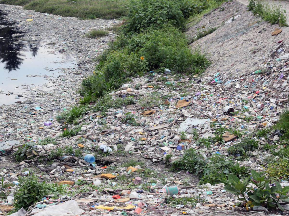 Lluvias en México: suman 37 muertos y 117 municipios afectados por tormenta tropical Raymond