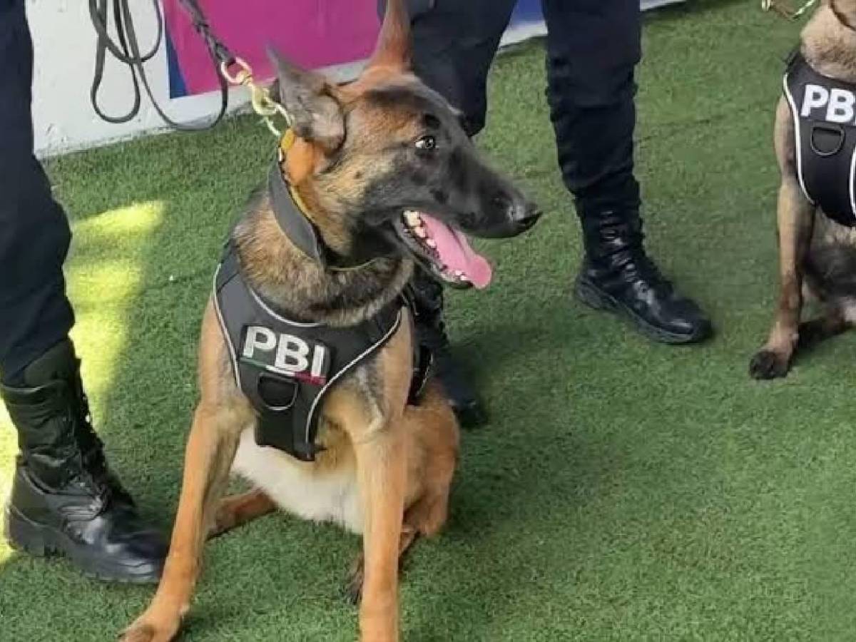 Messi iba a ser asesinado en Estados Unidos: Se revela el plan quirúrgico que tenían