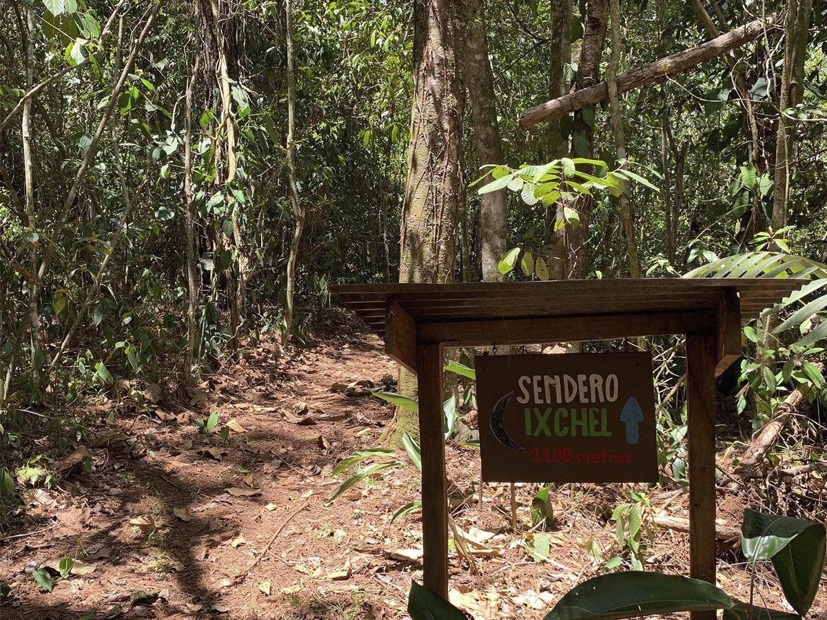 <i>Explora el tour del café y el cacao en la finca, un viaje interactivo que fusiona historia, sabor y conexión con la naturaleza.</i>