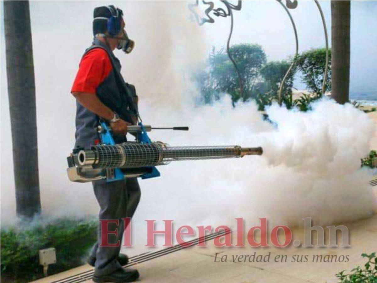 Salud ya reporta 2,459 casos de dengue a nivel nacional