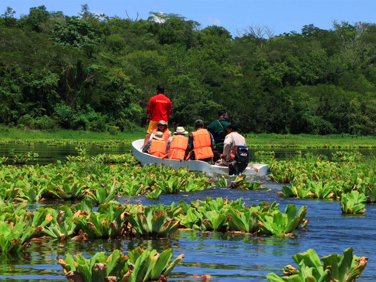 La laguna protege contra desastres naturales, ya que los humedales regulan flujos, absorción y almacenamiento de agua evitando inundaciones.
