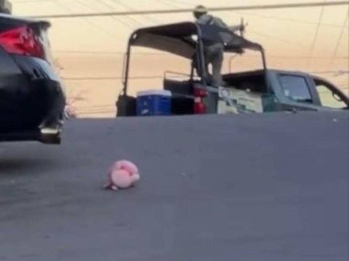 ¿Qué significan los cerditos rosa en escenas del crimen en Culiacán?