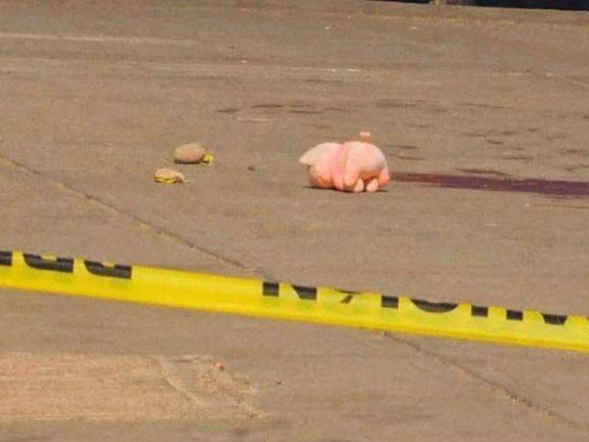 ¿Qué significan los cerditos rosa en escenas del crimen en Culiacán?