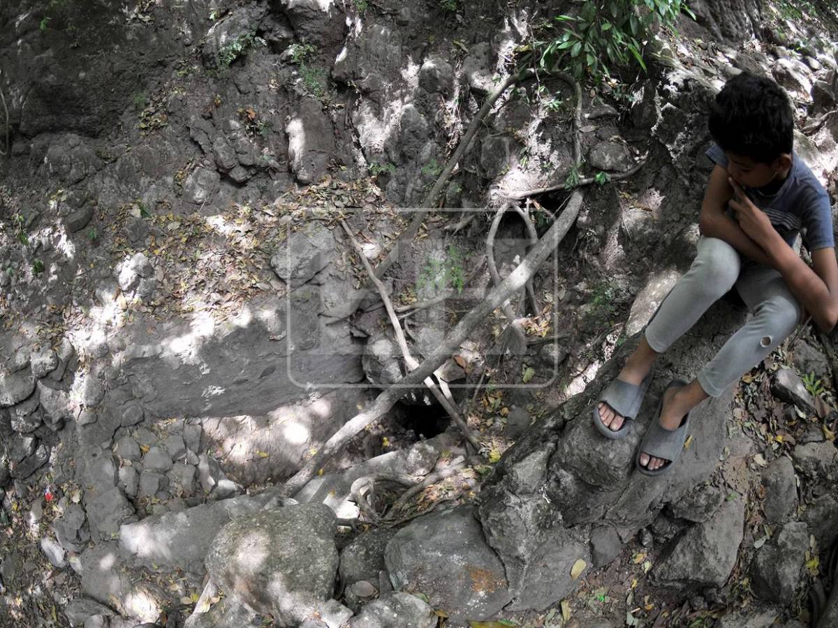 No se salvó ni un cultivo, ahora peligra el agua para consumo: el rastro de la sequía en el Corredor Seco