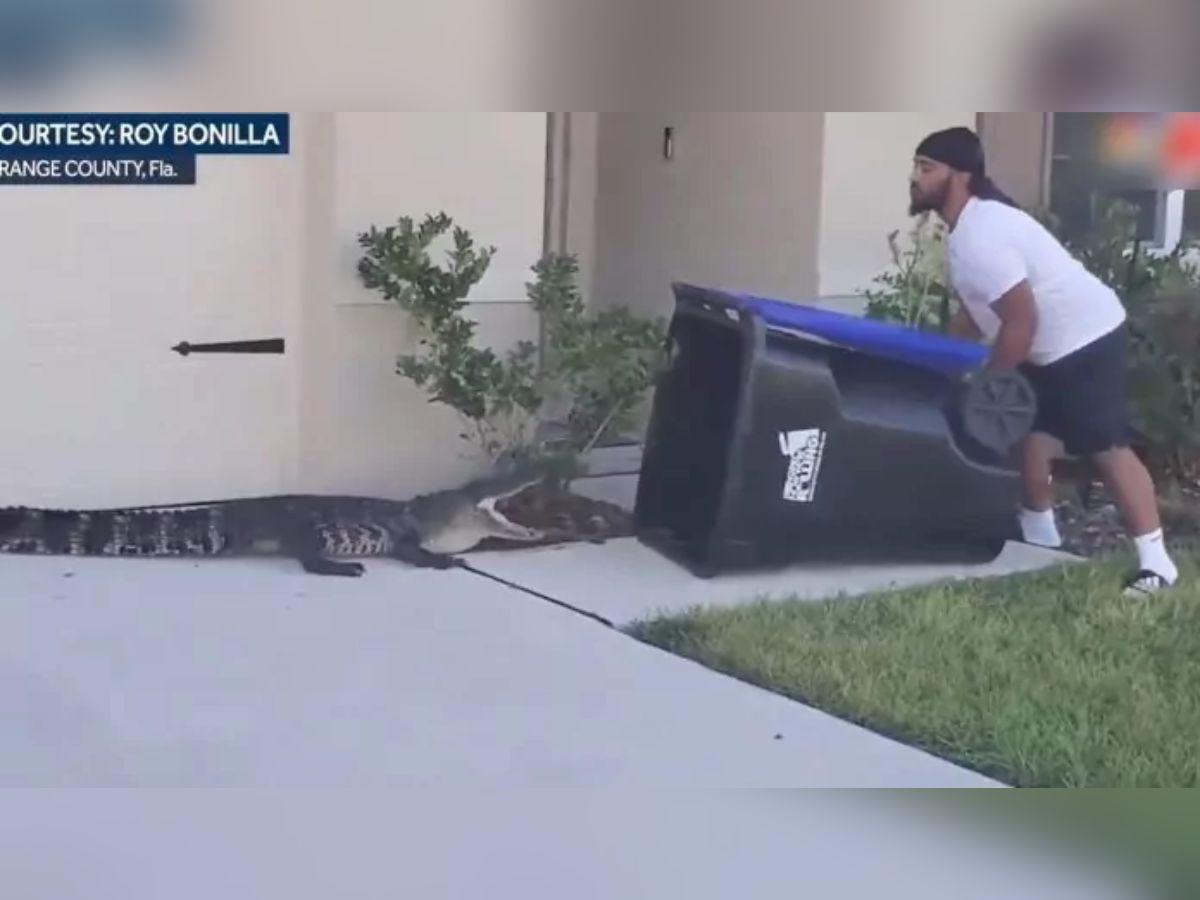 Hombre atrapa un cocodrilo con un bote de basura en Florida