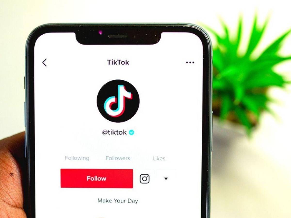 TikTok es una red social de origen chino en el que pueden publicarse videos cortos.