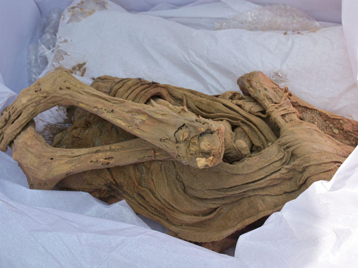 Hallan momia de adolescente de unos 800 años en Perú