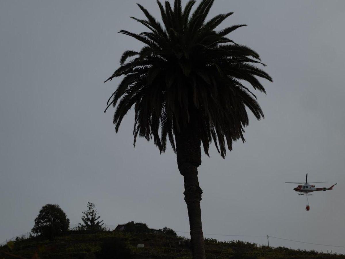Las imágenes difundidas en la televisión mostraban helicópteros bombarderos de agua combatiendo el fuego.