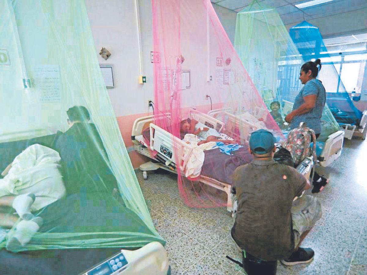 Más de 800 casos de dengue se han reportado en el país