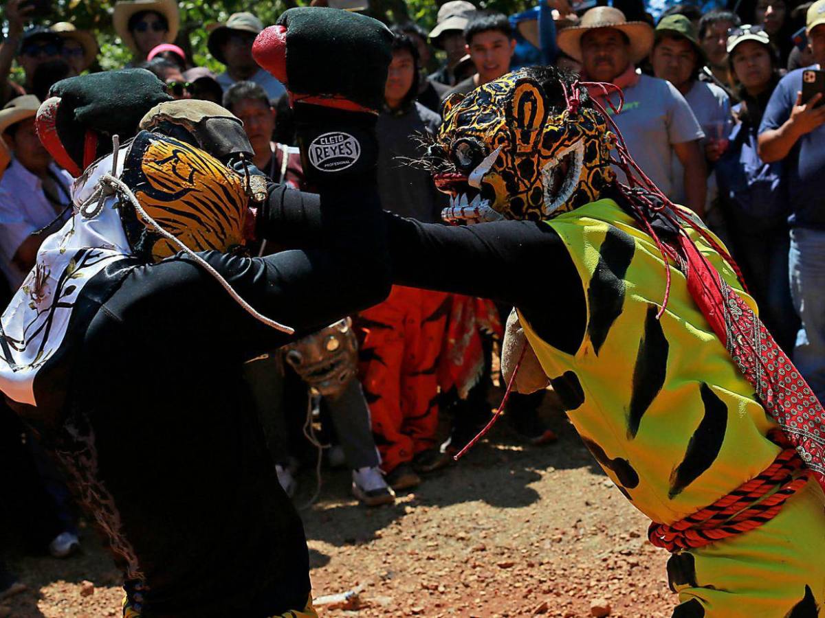 Pelea de jaguares: el ritual ancestral con el que invocan la lluvia en el sur de México