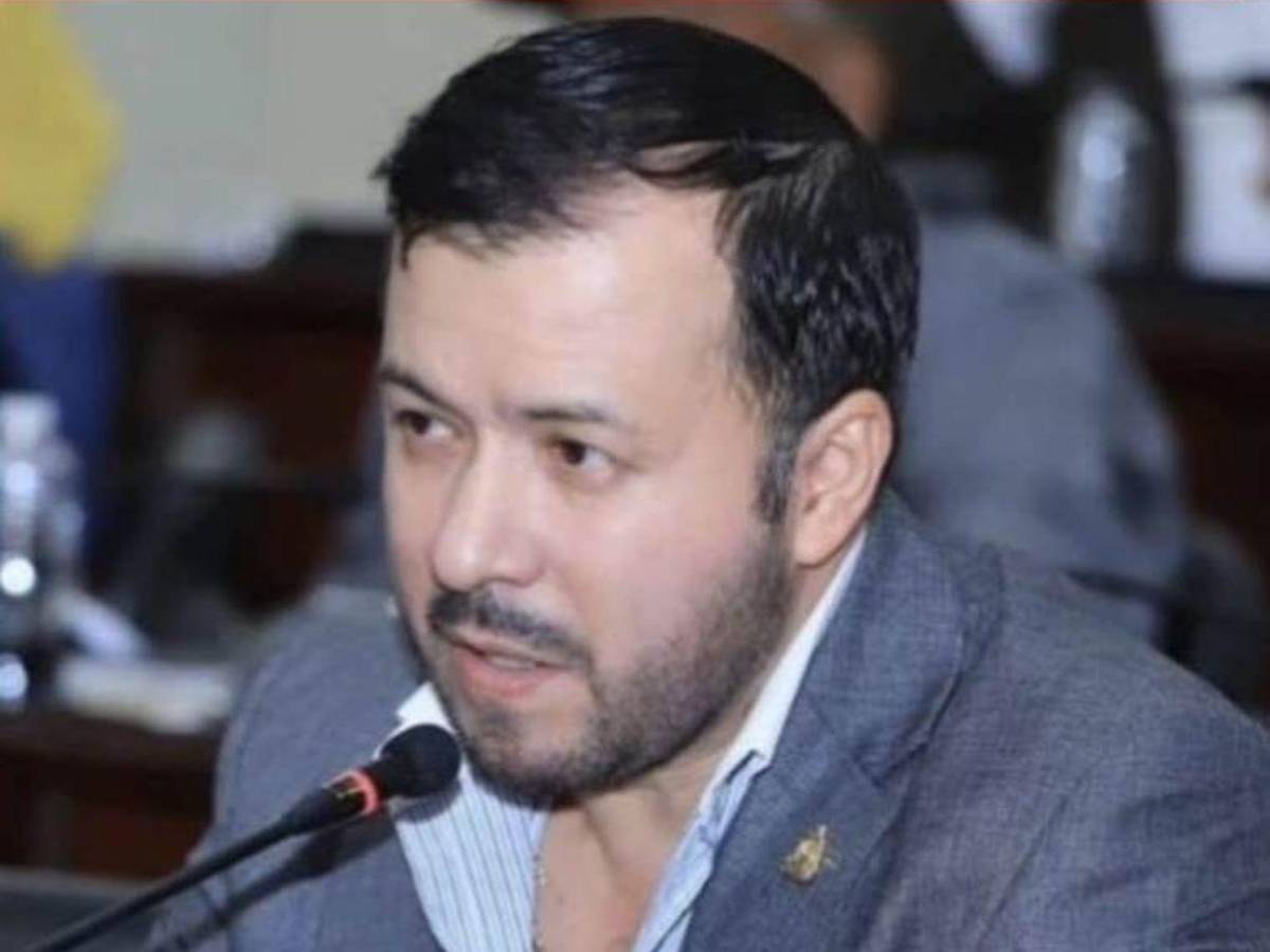 Los diputados con más años en el Congreso y se reeligen en 2025; uno tiene más de 20