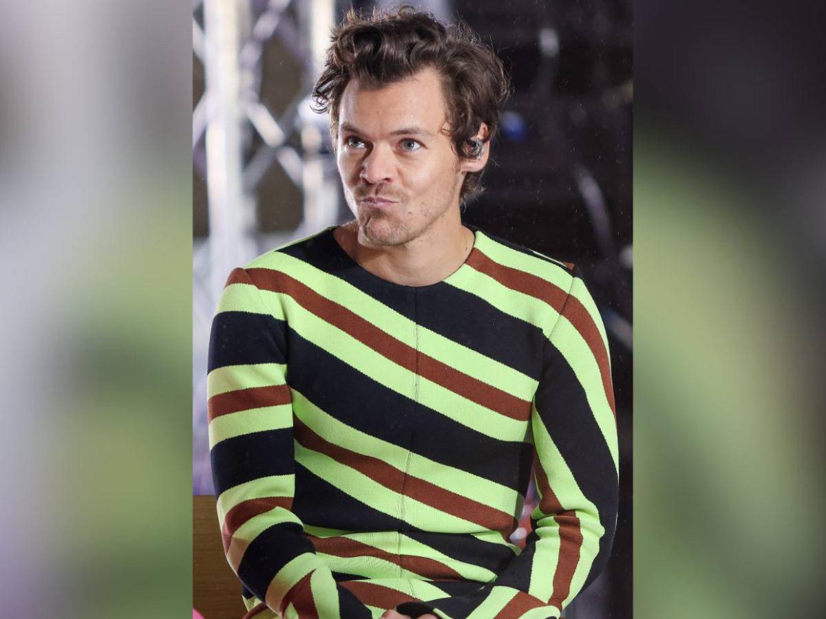 Harry Styles: su camino antes de alcanzar el éxito en la música