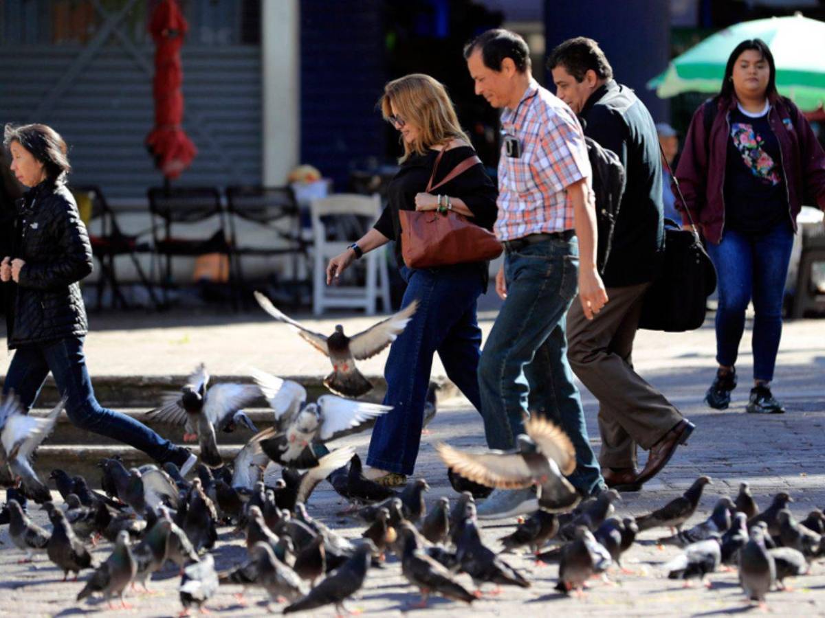 Hondureños entre anhelo de una Navidad tranquila y la incertidumbre por lentitud en resultados