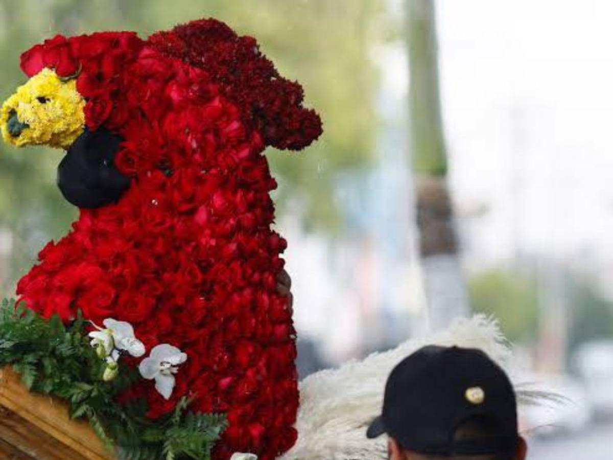 Féretro usado en funeral de “El Mencho” ahora forma parte de servicios de lujo