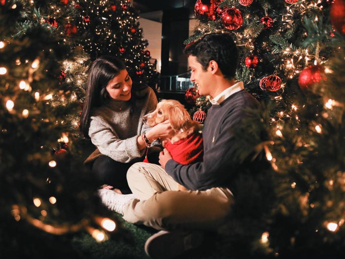 Esta temporada navideña, Ventu Life Center tiene muchas sorpresas para que disfrutes estos momentos en familia y amigos.