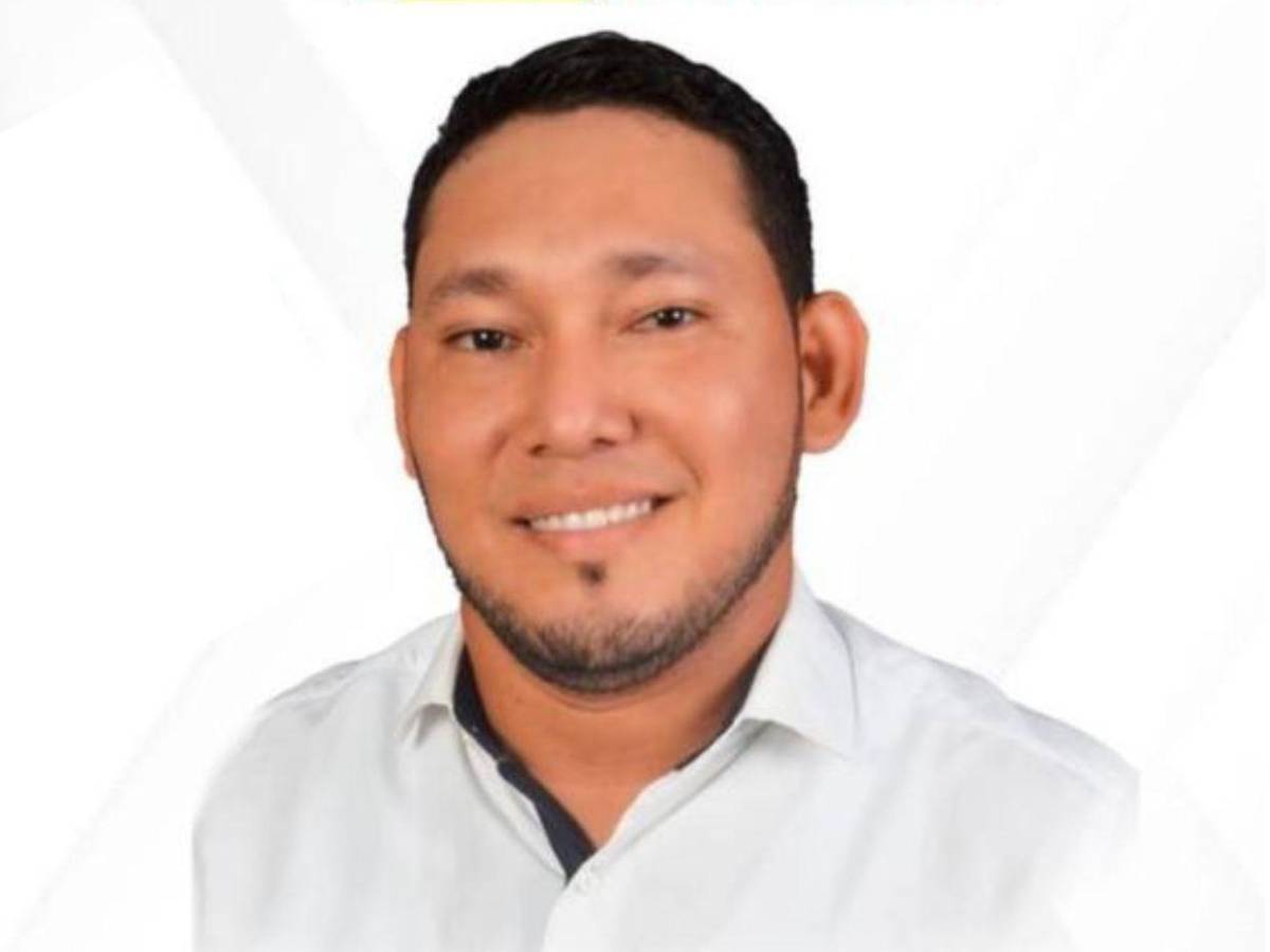 Diputados del Partido Liberal que buscan reelegirse en el Congreso Nacional