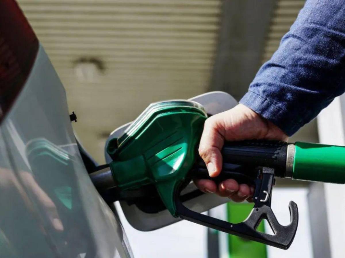 Además de teletrabajo ¿Cómo pueden los consumidores ahorrar combustible?, esto dice la AHDIPPE?