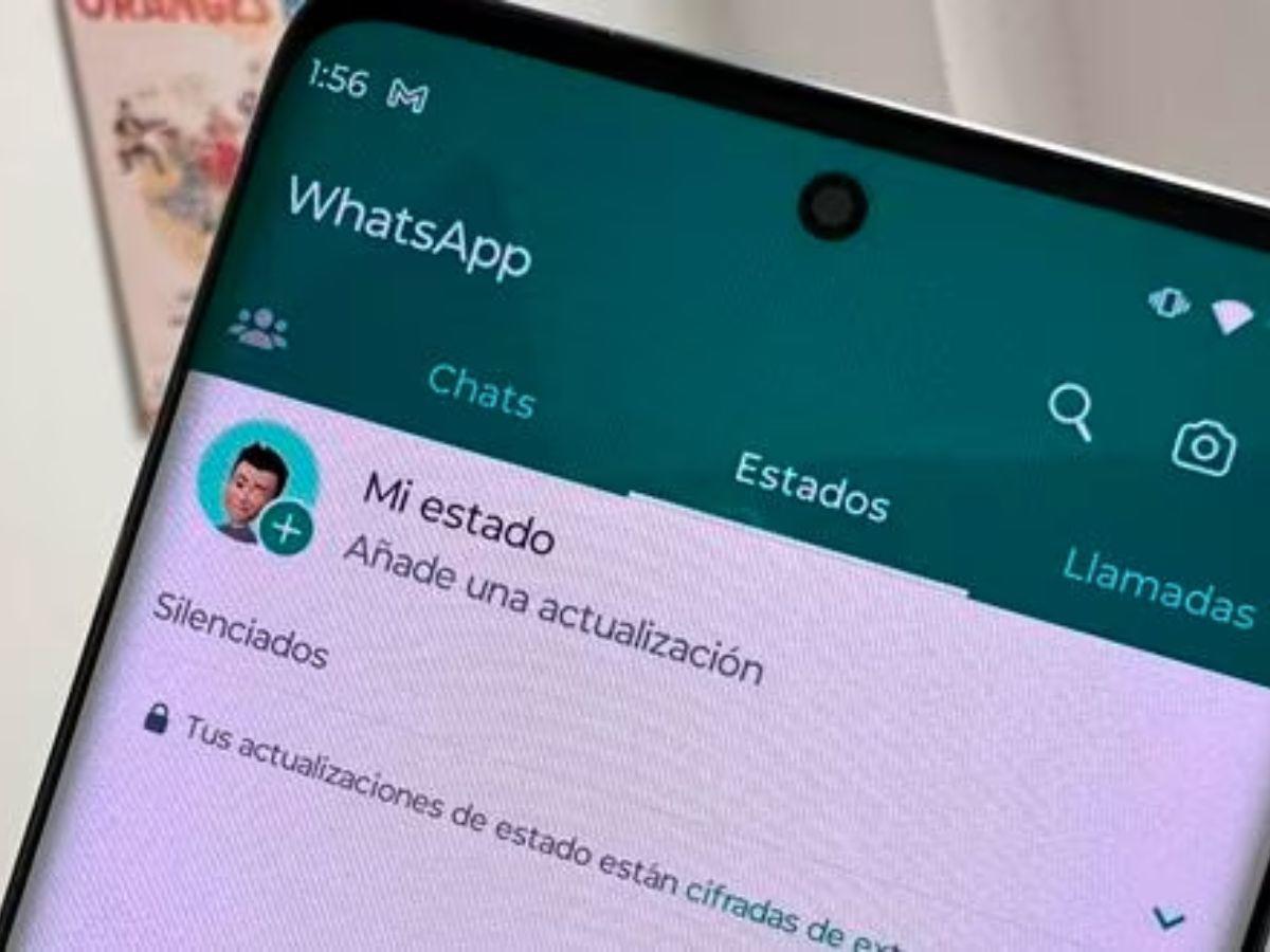 WhatsApp: ¿Cómo puedo ver los estados eliminados de un contacto?