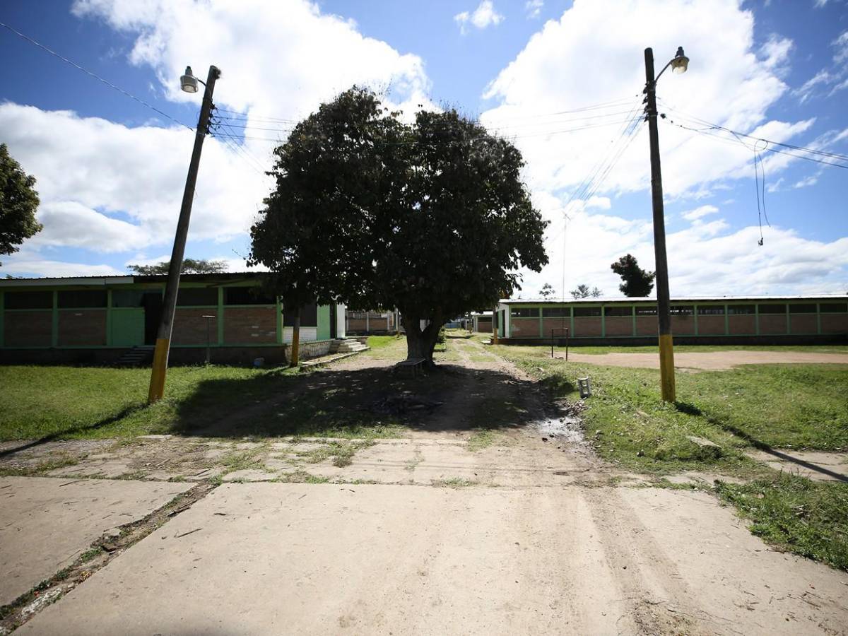 “Que denuncien, no es la primera vez que denuncian”: director de Jalteva por abuso a menor