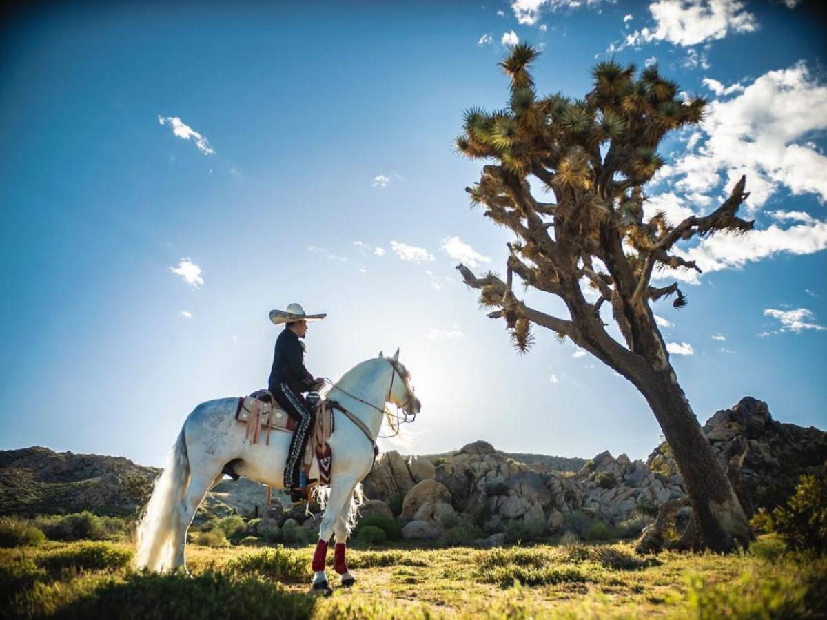 ¿De cuánto es la fortuna del cantante Pepe Aguilar?