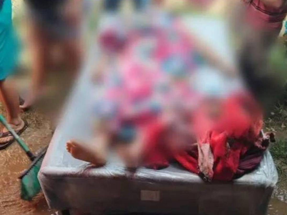 Rosa Cárcamo fue acuchillada por su sobrino tras robarle el dinero de su negocio; era madre