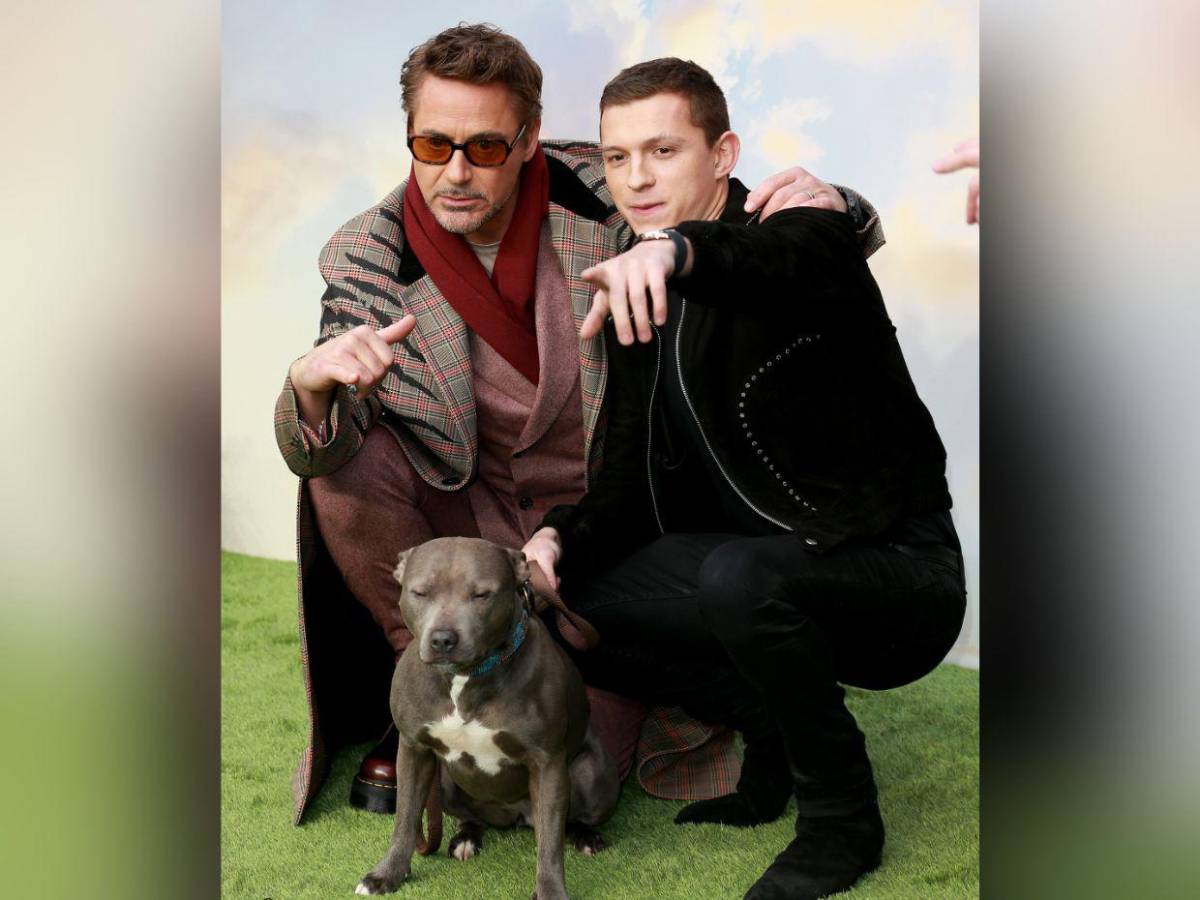 Tom Holland define La Odisea de Christopher Nolan como una obra maestra
