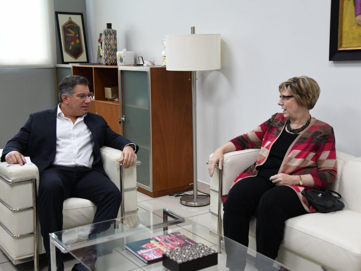Embajadora Laura Dogu se reúne con el presidente del Cohep