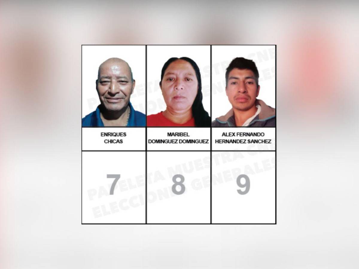 ¿Quiénes son los candidatos a diputados por el PINU-SD, de Nelson Ávila?