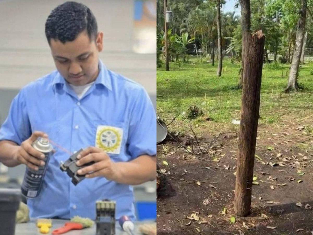 Daniel Calero, alumno que murió tras caerle poste cuando realizaba práctica de colegio