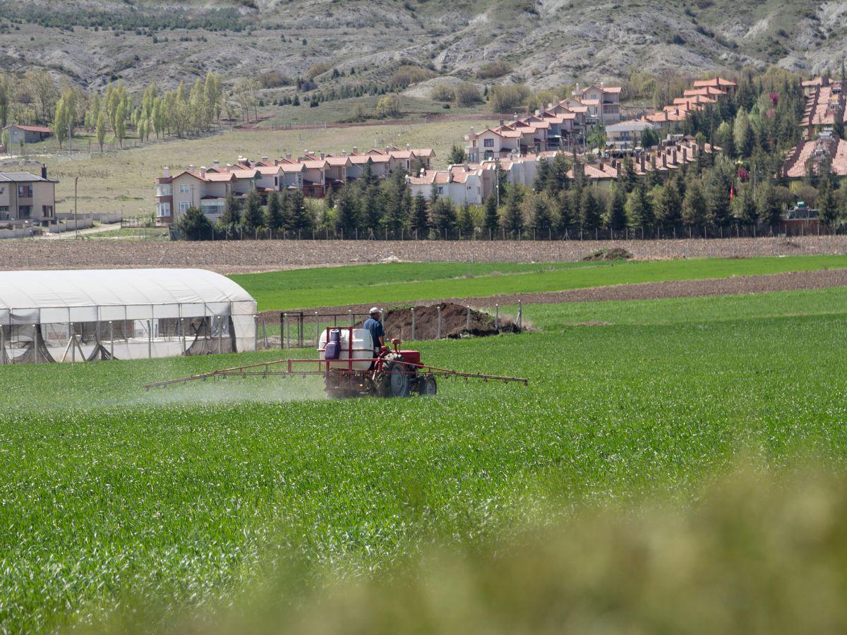 Tabaco, licores y productos falsificados: así opera el comercio ilícito en Honduras y Centroamérica