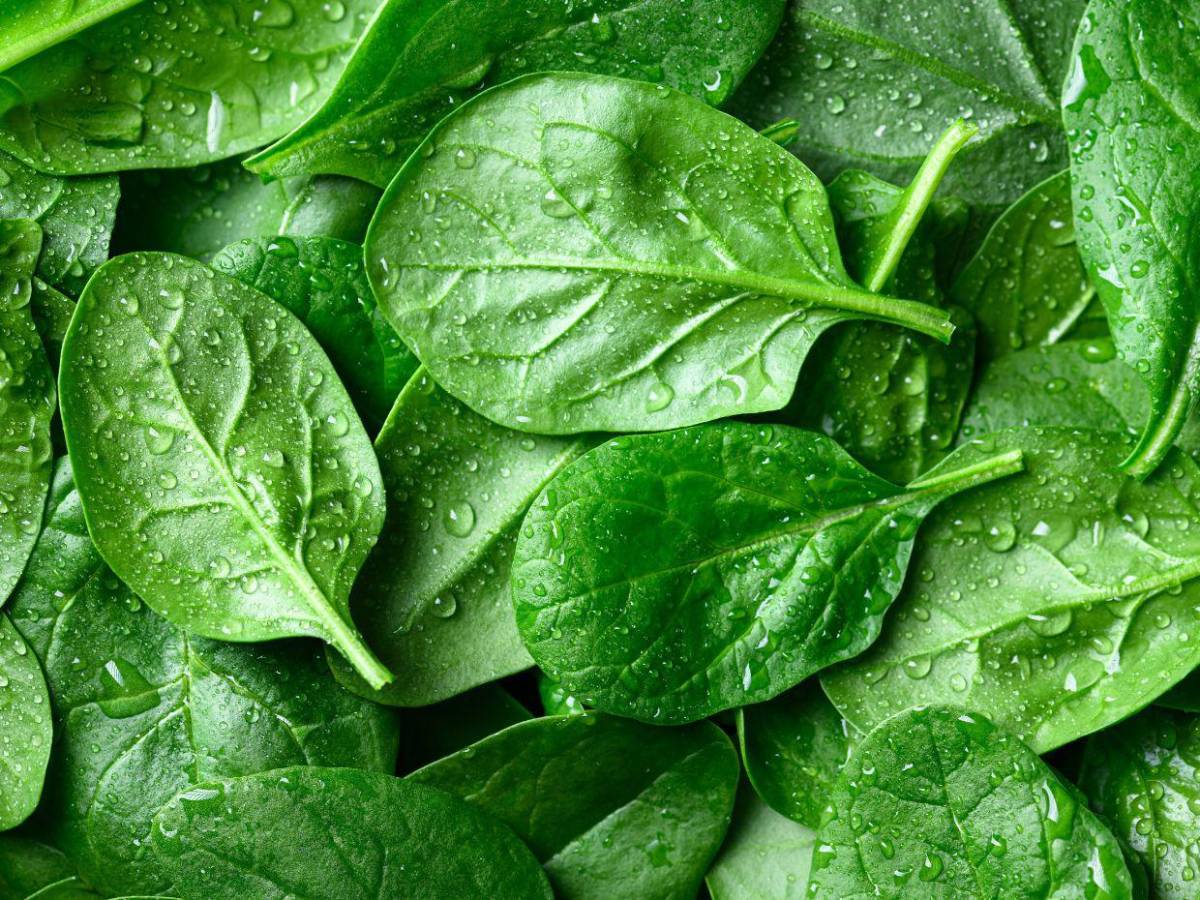Doce alimentos que ayudan a fortalecer las defensas durante la temporada de lluvias