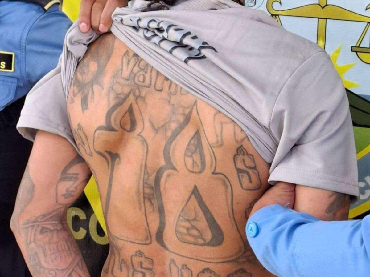 Declaran terroristas a la MS-13, Pandilla 18 y Cartel del Diablo: Los duros castigos para sus miembros