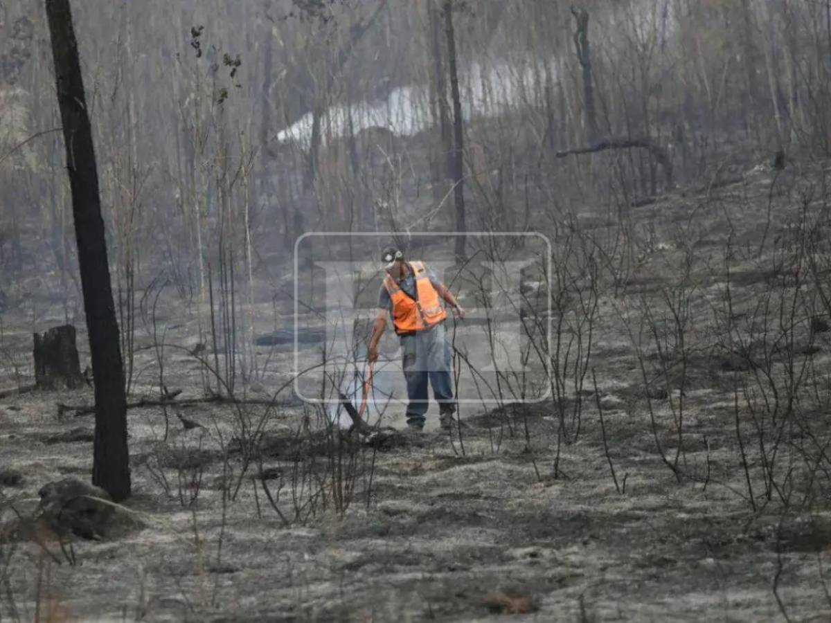 Municipios en alerta verde por sequía en Honduras; Copeco suma 15 a la lista
